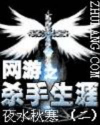 網遊之殺手生涯2