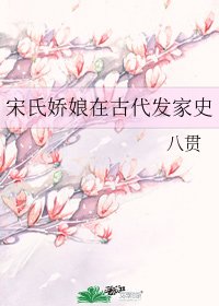 宋氏嬌娘在古代發家史