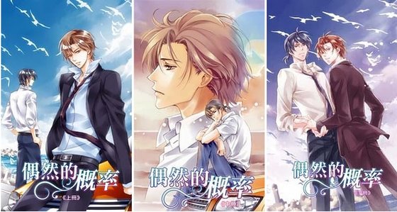 偶然的概率（出書版）